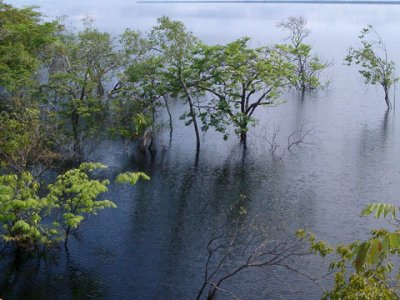 Protest în Amazon 5 | MyTex.ro