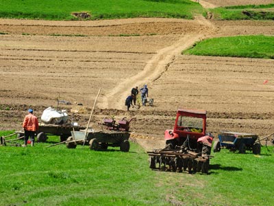 Săraca agricultură bogată 5 | MyTex.ro