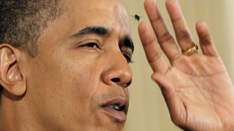 Obama și muștele 5 | MyTex.ro