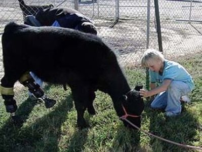 Inedit: Pisica bionică 9 article_258801_2.jpg