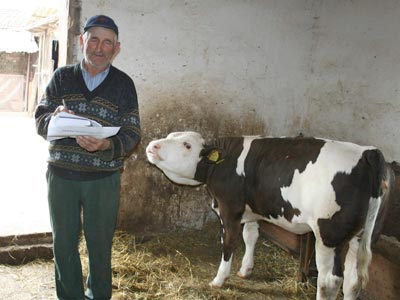 Proiect de lege pentru acoperirea asigurărilor 5 | MyTex.ro
