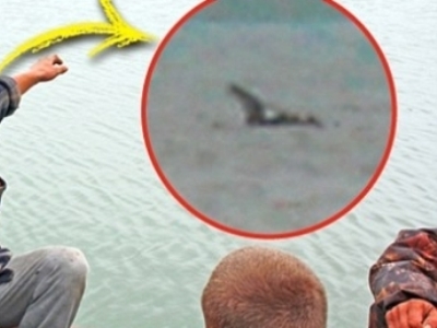 Rușii au un monstru ca cel din Loch Ness 5 | MyTex.ro