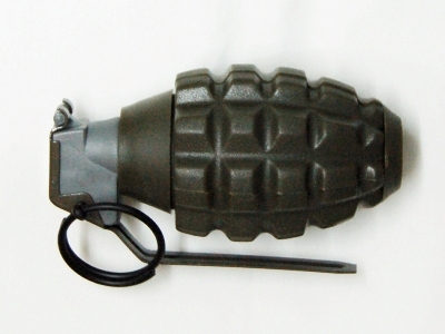 Un copil a găsit două grenade în parc 5 | MyTex.ro