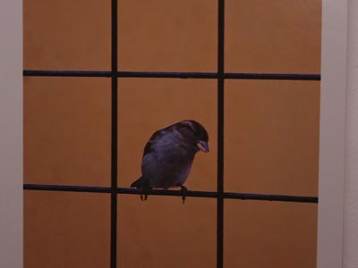 „Fragmente de realitate vizuală” 5 | MyTex.ro