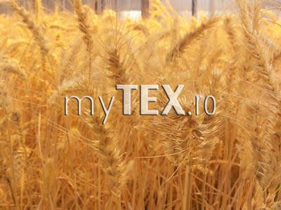 | MyTex.ro