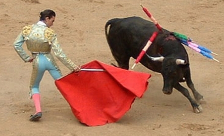 Coridele au fost interzise în Catalonia 5 | MyTex.ro