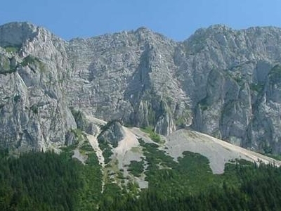| MyTex.ro