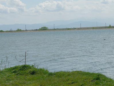 Acțiune de ecologizare la Dumbrăvița 5 | MyTex.ro