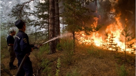 Mii de pompieri se luptă cu incendiile lângă centrul nuclear Sarov 5 | MyTex.ro
