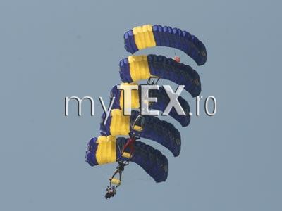 article_262735_2.jpg