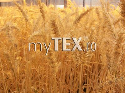 | MyTex.ro