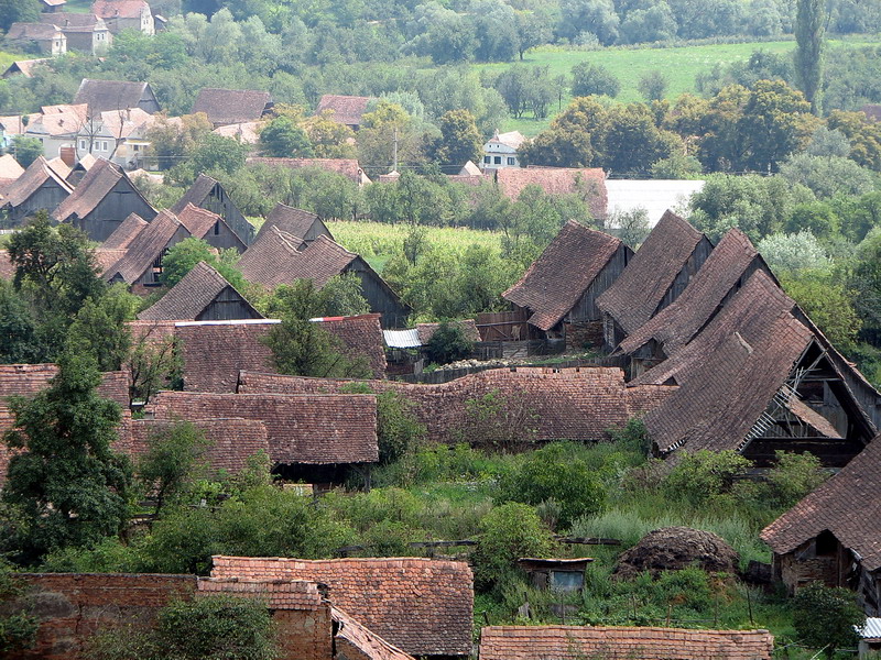 Brașov. Atelier de arhitectură tradițională la Meșendorf 15 article_263478_4.jpg