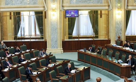 Legea ANI a trecut de Senat. Majorarea TVA, aprobată 5 | MyTex.ro