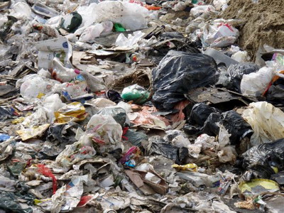 Pungile de plastic au fost interzise într-un oraș 5 | MyTex.ro