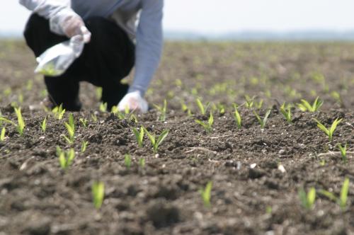 Brașov. „Instalarea tinerilor fermieri” 5 | MyTex.ro