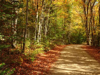 Săptămână cu temperaturi în creștere 5 | MyTex.ro