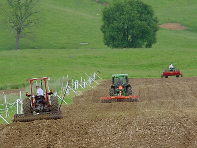 Irlandezii caută fermieri în România 5 | MyTex.ro