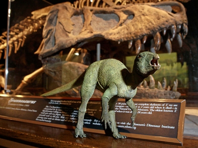 Un american a făcut sex cu un dinozaur 5 | MyTex.ro