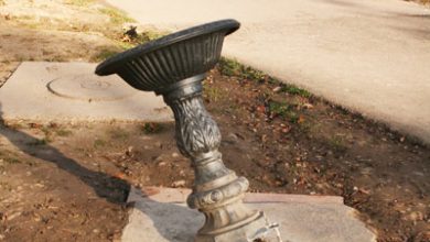 Dacă tot nu mai e vară... 9 | MyTex.ro