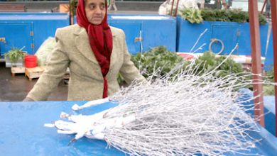 Recompensă sau pedeapsă? 3 | MyTex.ro