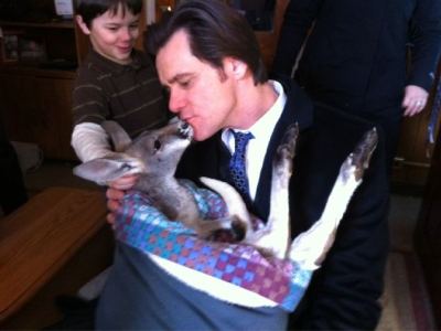 Jim Carrey a primit un pui de cangur 5 | MyTex.ro