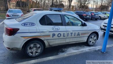 Deputat PSD | MyTex.ro
