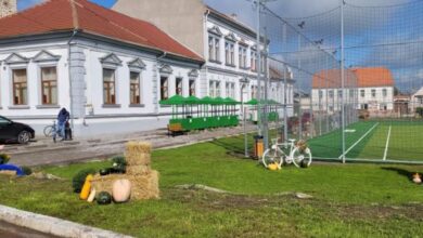 Festivalul Recoltei, Festivalul Recoltei Homorod, târg, producători locali, Ansamblul folcloric Rujita Rupea, Șona Ștefan-Doru, primar.