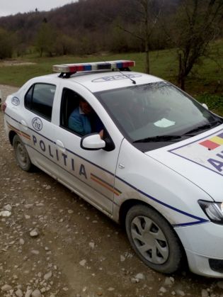 BRAȘOV. FLAGRANT în... pădure 5 | MyTex.ro