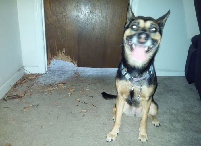 caine.jpg