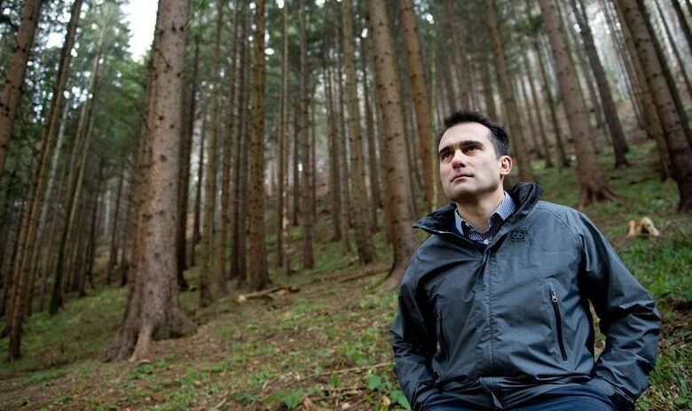 BRAȘOV. Drumul „Cărămidăriei - Poiana Brașov”... Încă două săptămâni de consultare publică 5 | MyTex.ro