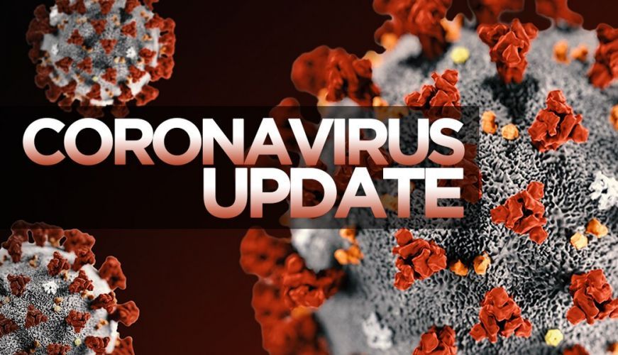coronavirus3_3.jpg