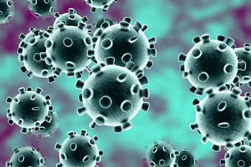 coronavirus_28.jpg