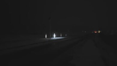 | MyTex.ro