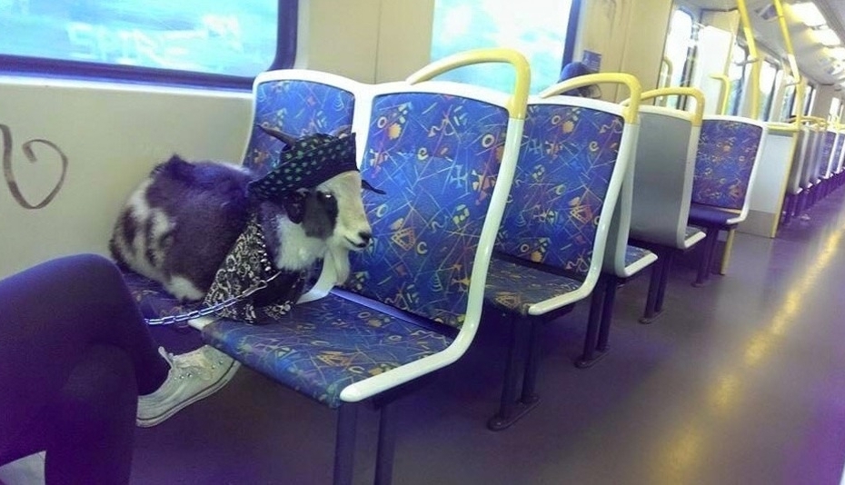 inaustralia.jpg