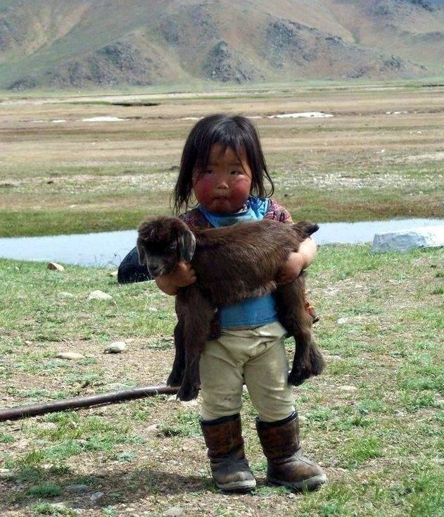 inmongolia.jpg