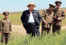 Zvonuri uluitoare privind starea lui Kim Jong-un: Liderul nord-coreean ar fi în COMĂ după o hemoragie cerebrală masivă 5 | MyTex.ro