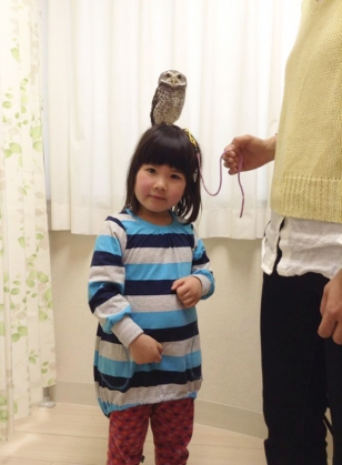 owl-cafe-ikefukuroucafe-tokyo-21_186142.jpg