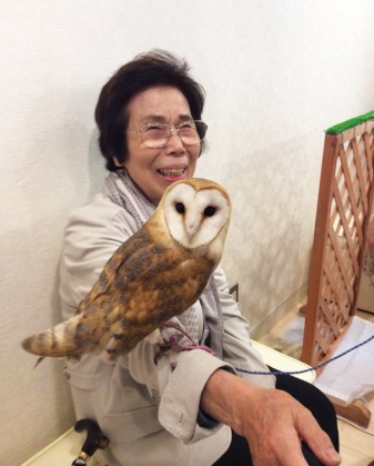 owl-cafe-ikefukuroucafe-tokyo-23_186143.jpg