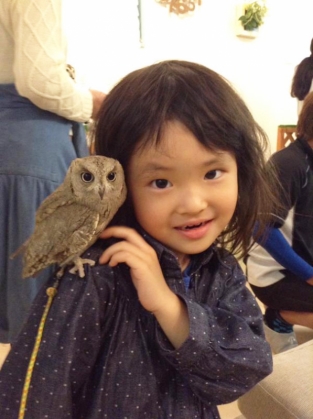 owl-cafe-ikefukuroucafe-tokyo-2_186138.jpg