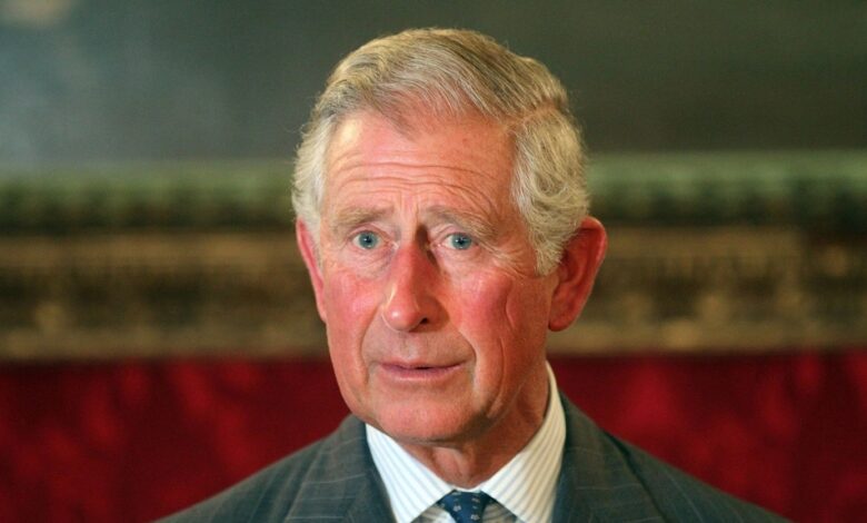 Prinţul Charles şi-a lansat o fundaţie la Viscri! 5 | MyTex.ro