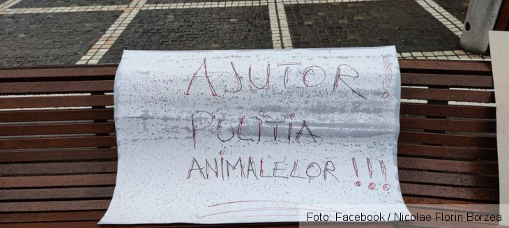 protest 4_294861.jpg
