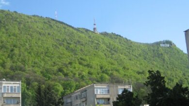 Micii ecologiști de la Școala Iacob Mureșianu | MyTex.ro