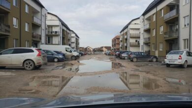 municipalitatea | MyTex.ro