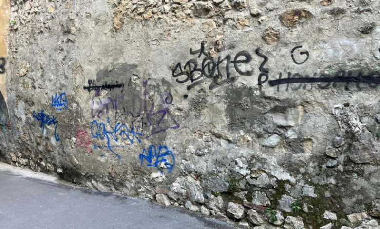 Lucian Pătrașcu și... „cultura” USR 1 cultura brașov