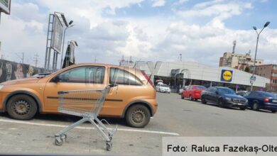 controalele în magazinele Auchan | MyTex.ro