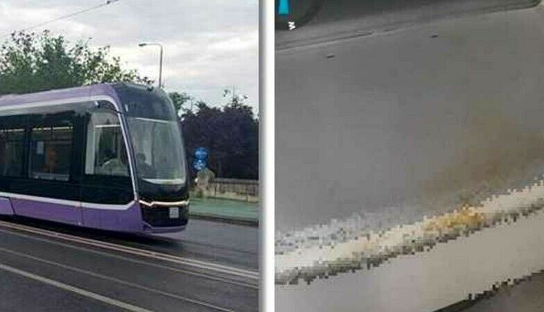 62283661.jpg