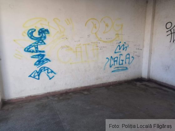 Județul BRAȘOV. „Artiști" de 13-14 ani, duși la sediul Poliției Locale (Galerie FOTO) 9 | MyTex.ro