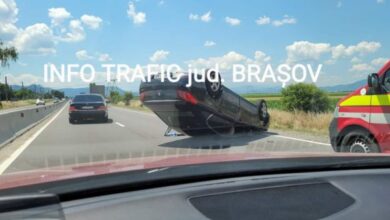 urs accidentat mortal | MyTex.ro