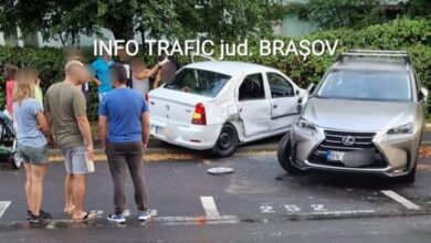 fără apă | MyTex.ro