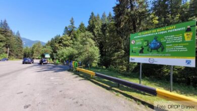 minivacanța | MyTex.ro